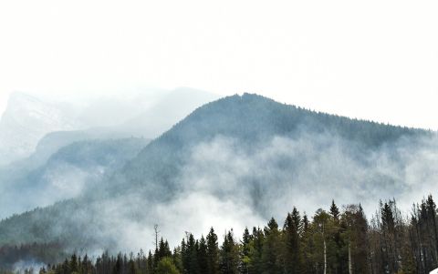 Η Επιτροπή εγκαινιάζει νέα στρατηγική για την αντιμετώπιση της αυξανόμενης απειλής δασικών πυρκαγιών