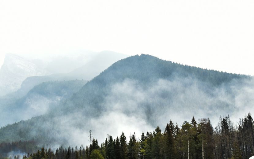 Η Επιτροπή εγκαινιάζει νέα στρατηγική για την αντιμετώπιση της αυξανόμενης απειλής δασικών πυρκαγιών
