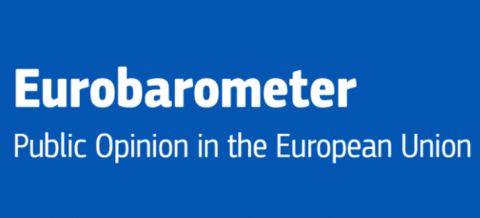 Οι Ευρωπαίοι βλέπουν τη δημοκρατία και την οικονομική ισχύ ως κύρια δυνατά σημεία της ΕΕ