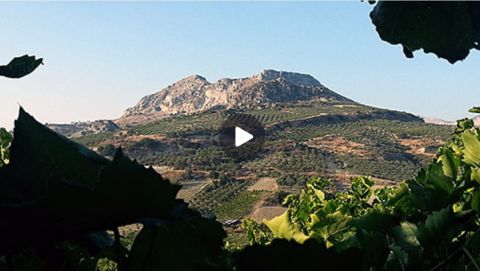 Παρουσίαση της ιστορίας και του πολιτισμού της Κρήτης από την Τσεχική τηλεόραση!