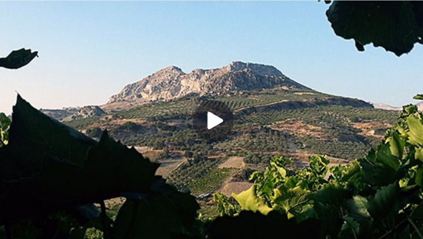 Παρουσίαση της ιστορίας και του πολιτισμού της Κρήτης από την Τσεχική τηλεόραση!