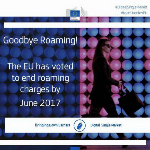 Goodbye Roaming_(!)