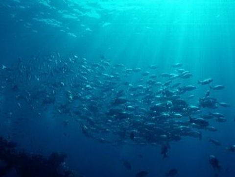 523,4 εκατ. ευρώ για τους τομείς αλιείας και υδατοκαλλιέργειας στην Ελλάδα_(!)