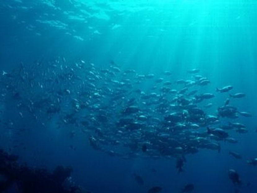 523,4 εκατ. ευρώ για τους τομείς αλιείας και υδατοκαλλιέργειας στην Ελλάδα_(!)