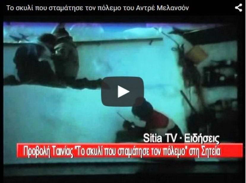 Το Europe Direct Κρήτης και ο Σύλλογος Γονέων και Κηδεμόνων των Σχολείων του Δήμου Σητείας διοργανώνουν δωρεάν προβολές κινηματογραφικών ταινιών, προσπαθώντας να αξιοποιήσουν την τέχνη ως καινοτόμο μέσο ευαισθητοποίησης του μαθητικού πληθυσμού